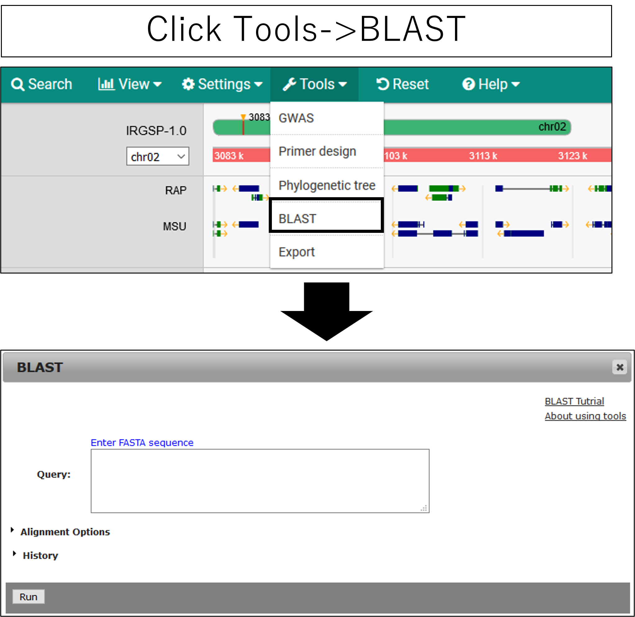 PRIMER_screenshot