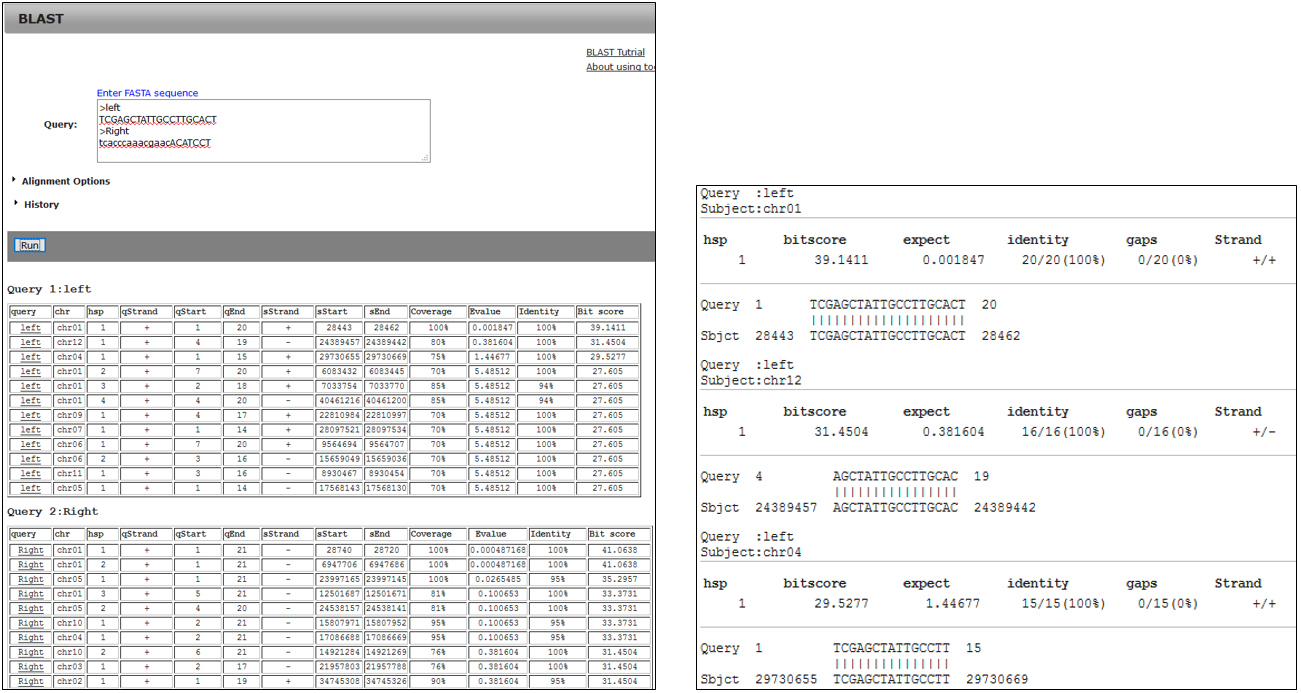 PRIMER_screenshot