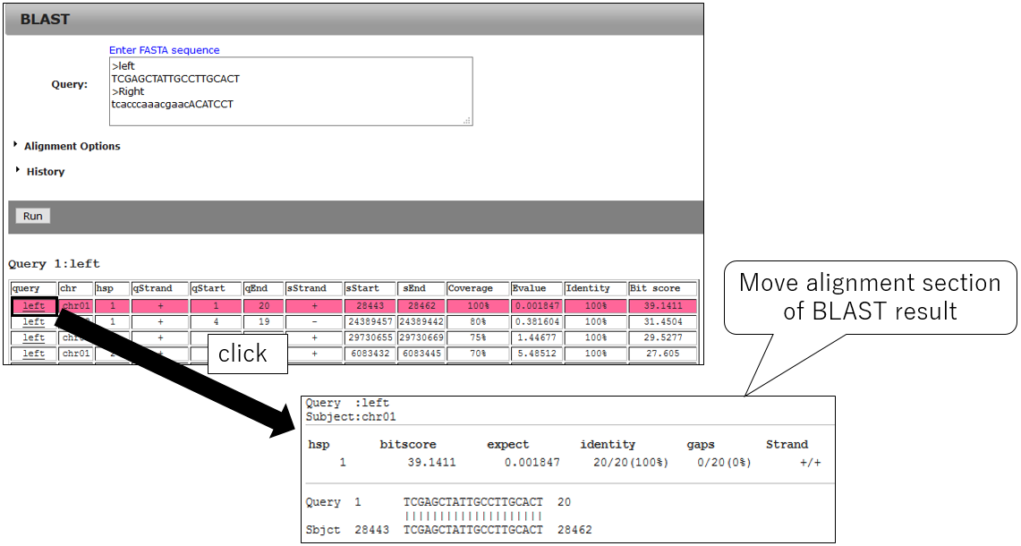 PRIMER_screenshot