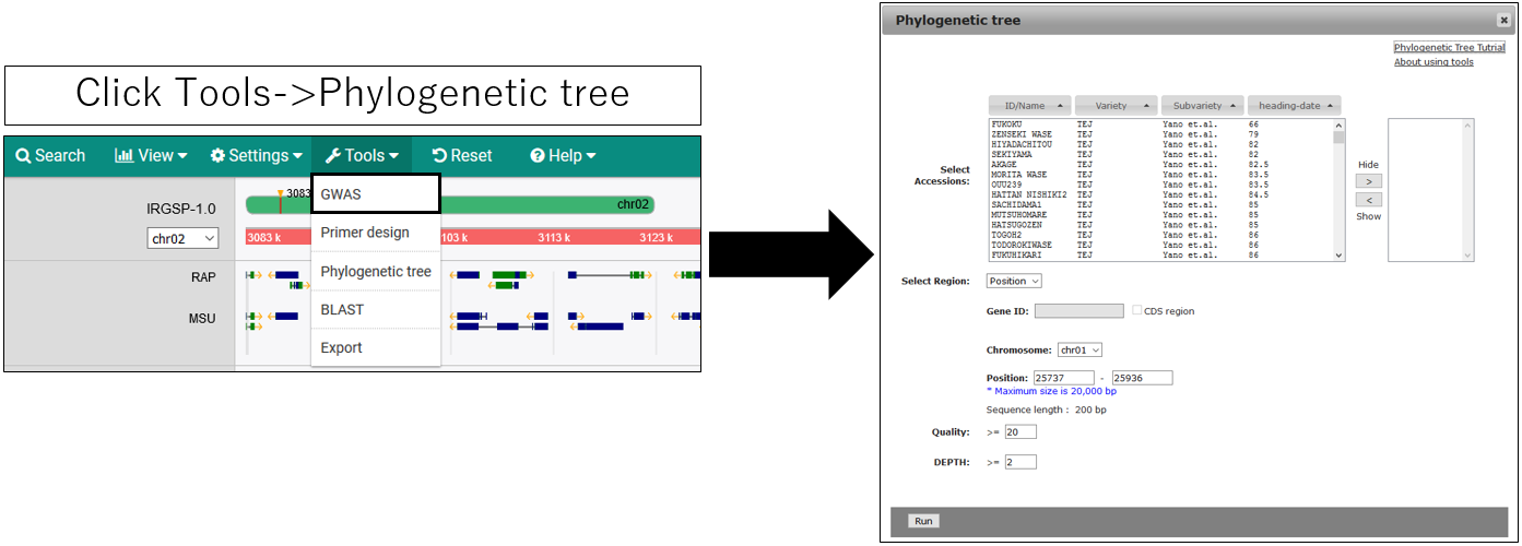 PRIMER_screenshot