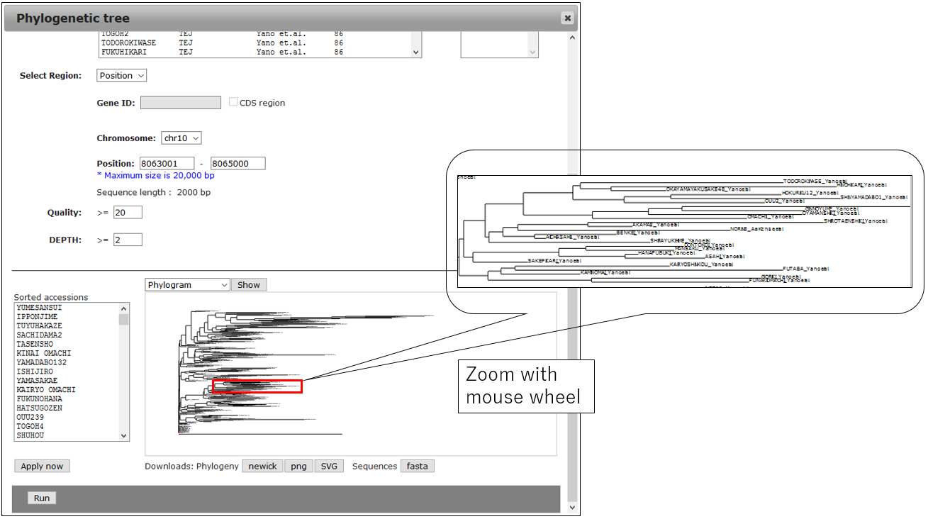 PRIMER_screenshot