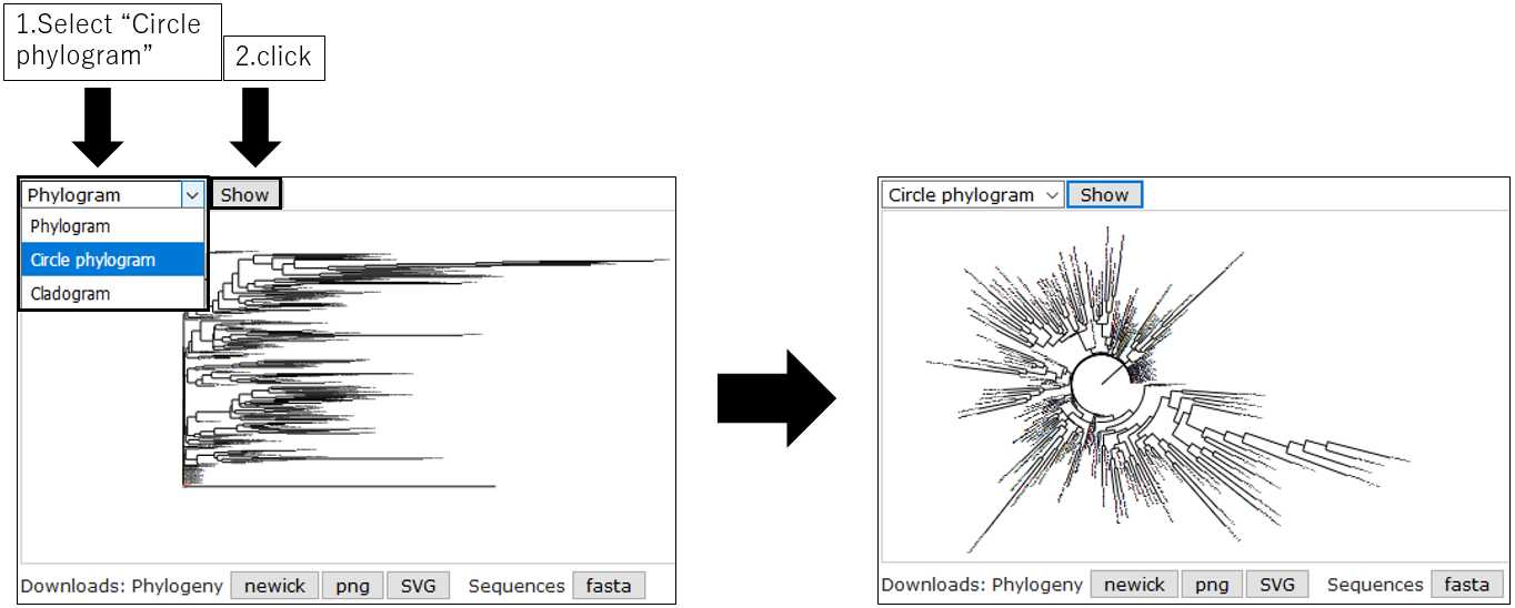 PRIMER_screenshot