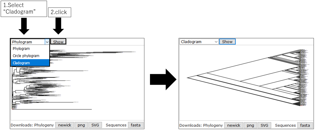 PRIMER_screenshot