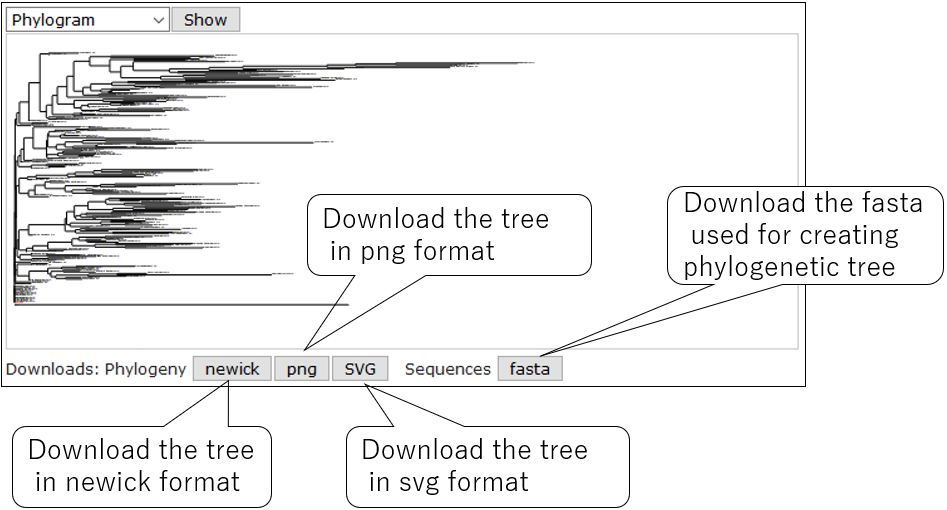 PRIMER_screenshot