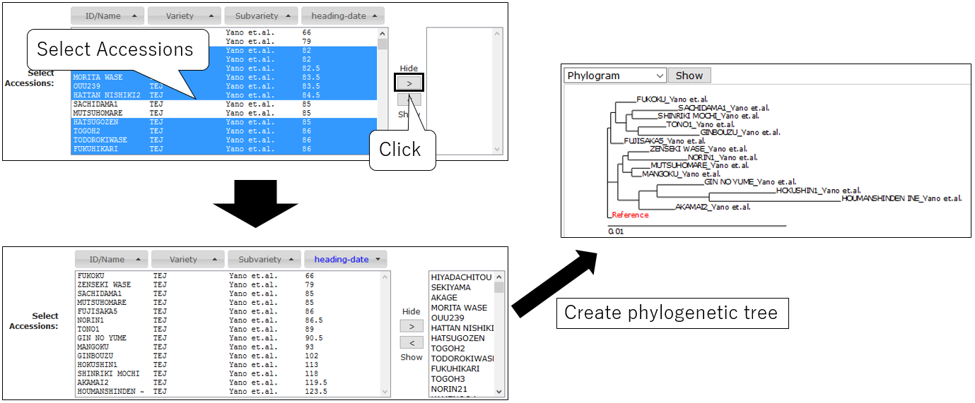PRIMER_screenshot