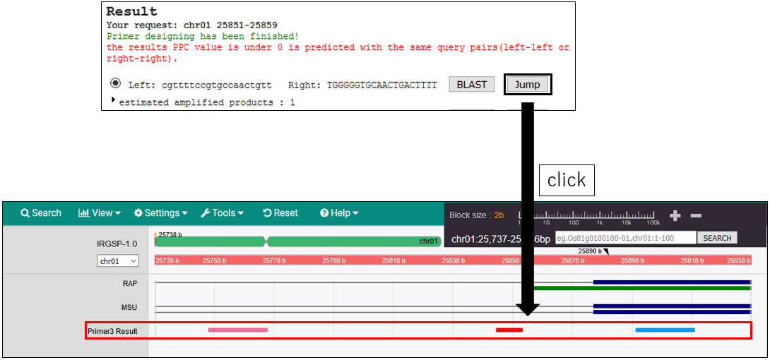 PRIMER_screenshot