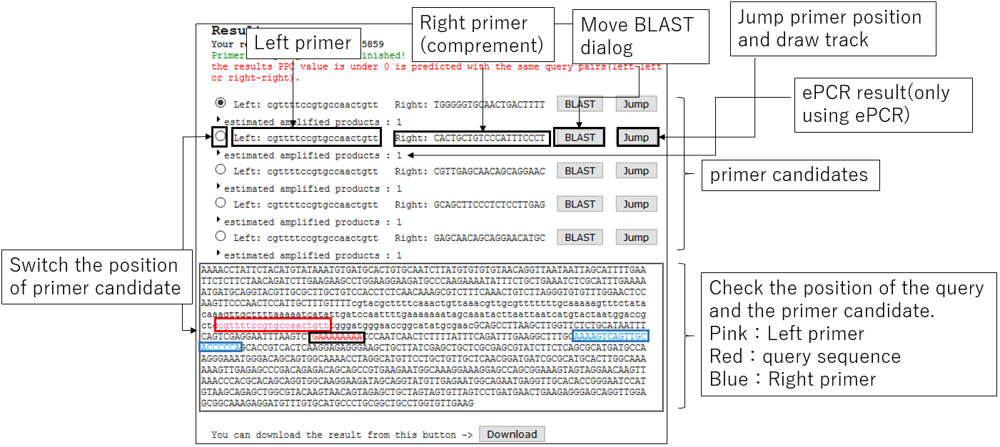 PRIMER_screenshot