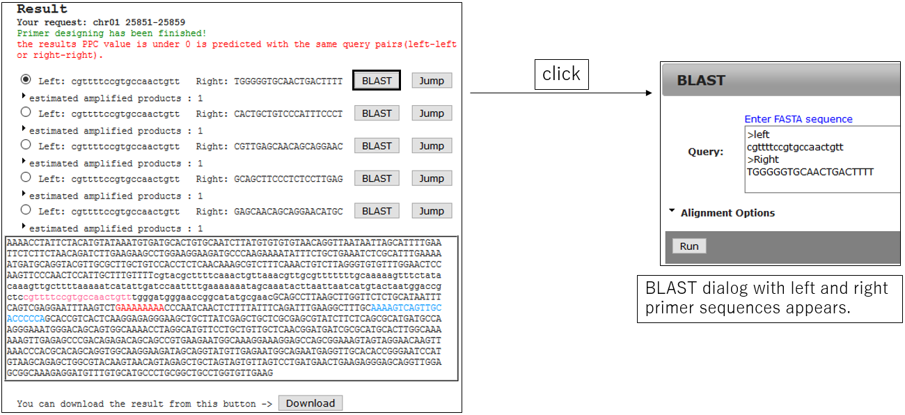 PRIMER_screenshot