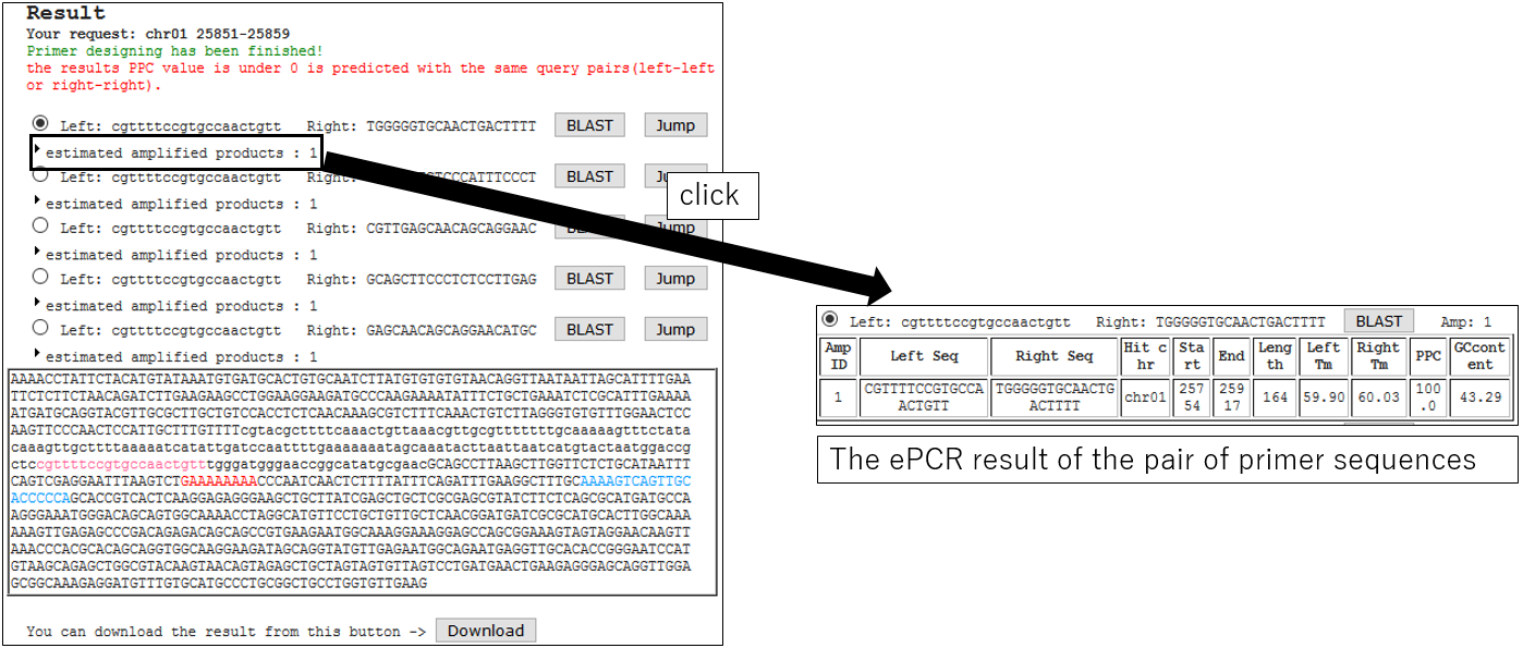 PRIMER_screenshot