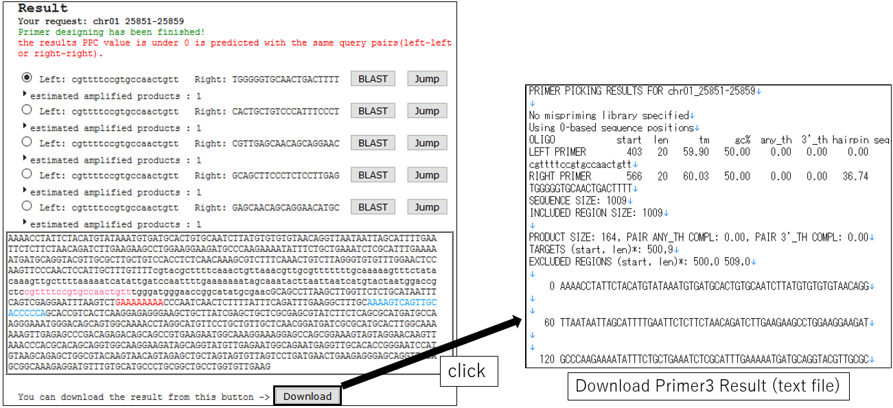 PRIMER_screenshot