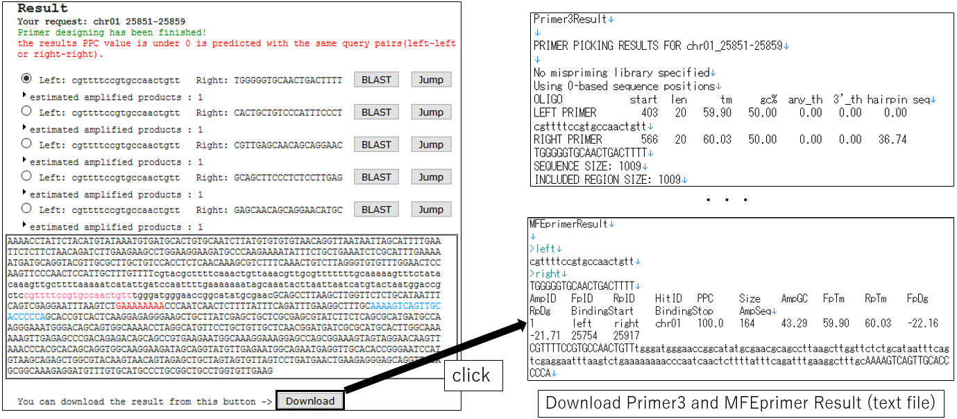 PRIMER_screenshot