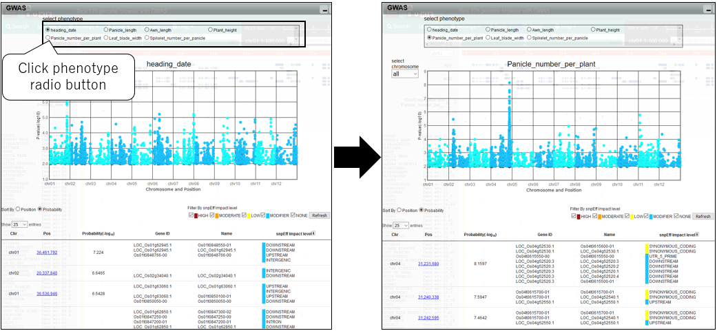 GWAS_screenshot