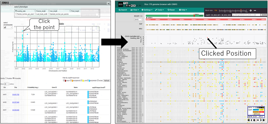 GWAS_screenshot