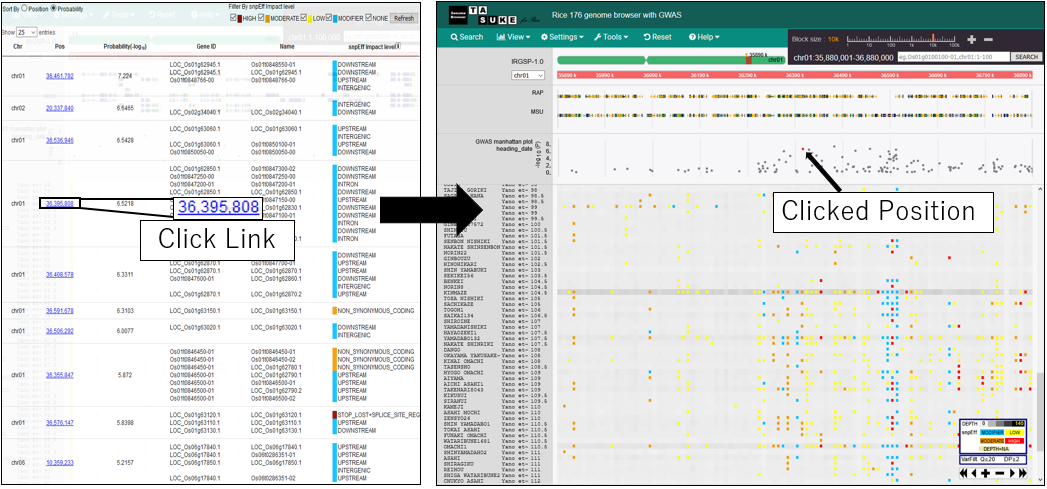 GWAS_screenshot