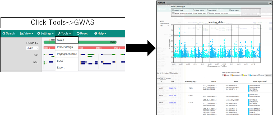 GWAS_screenshot