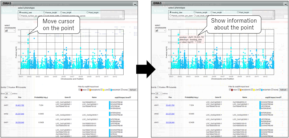 GWAS_screenshot