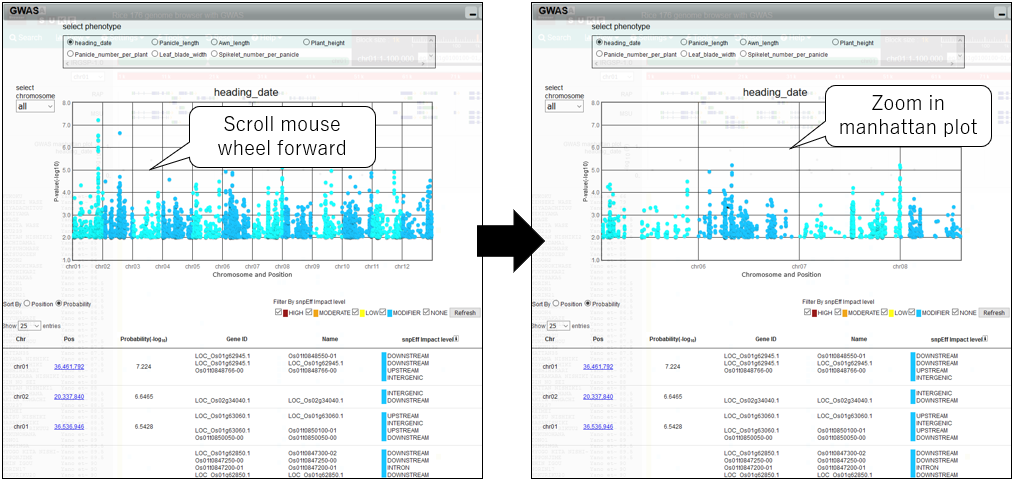 GWAS_screenshot