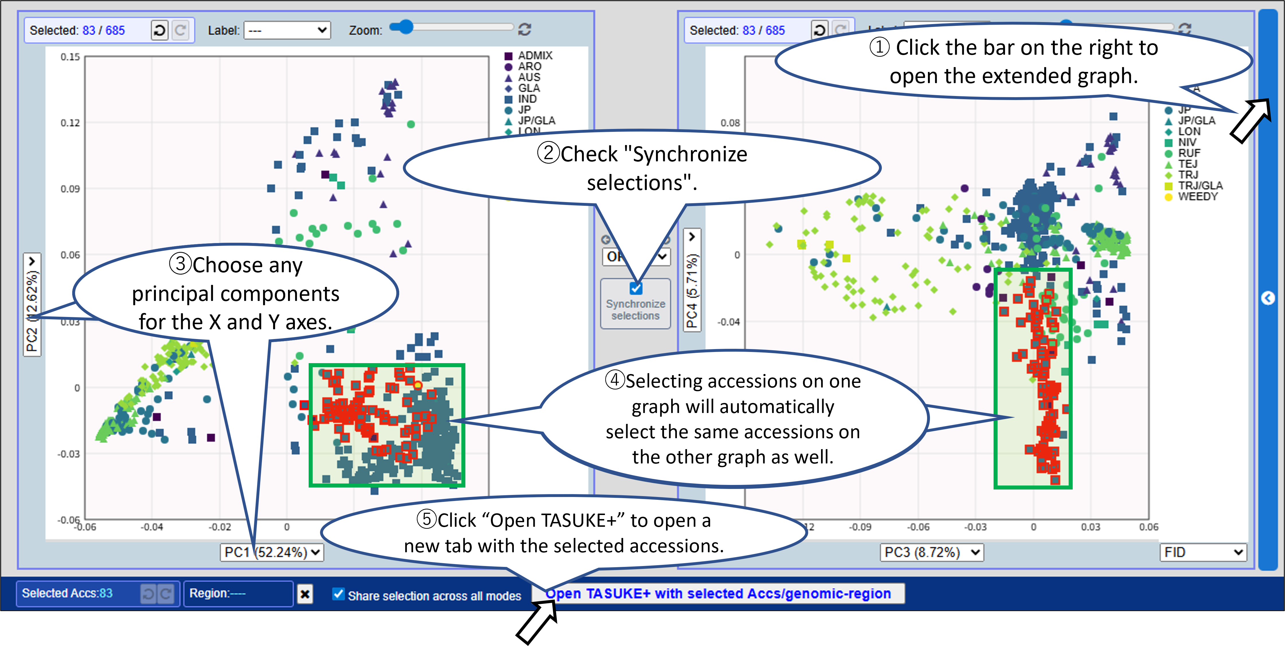 MacroViewer_PCA2