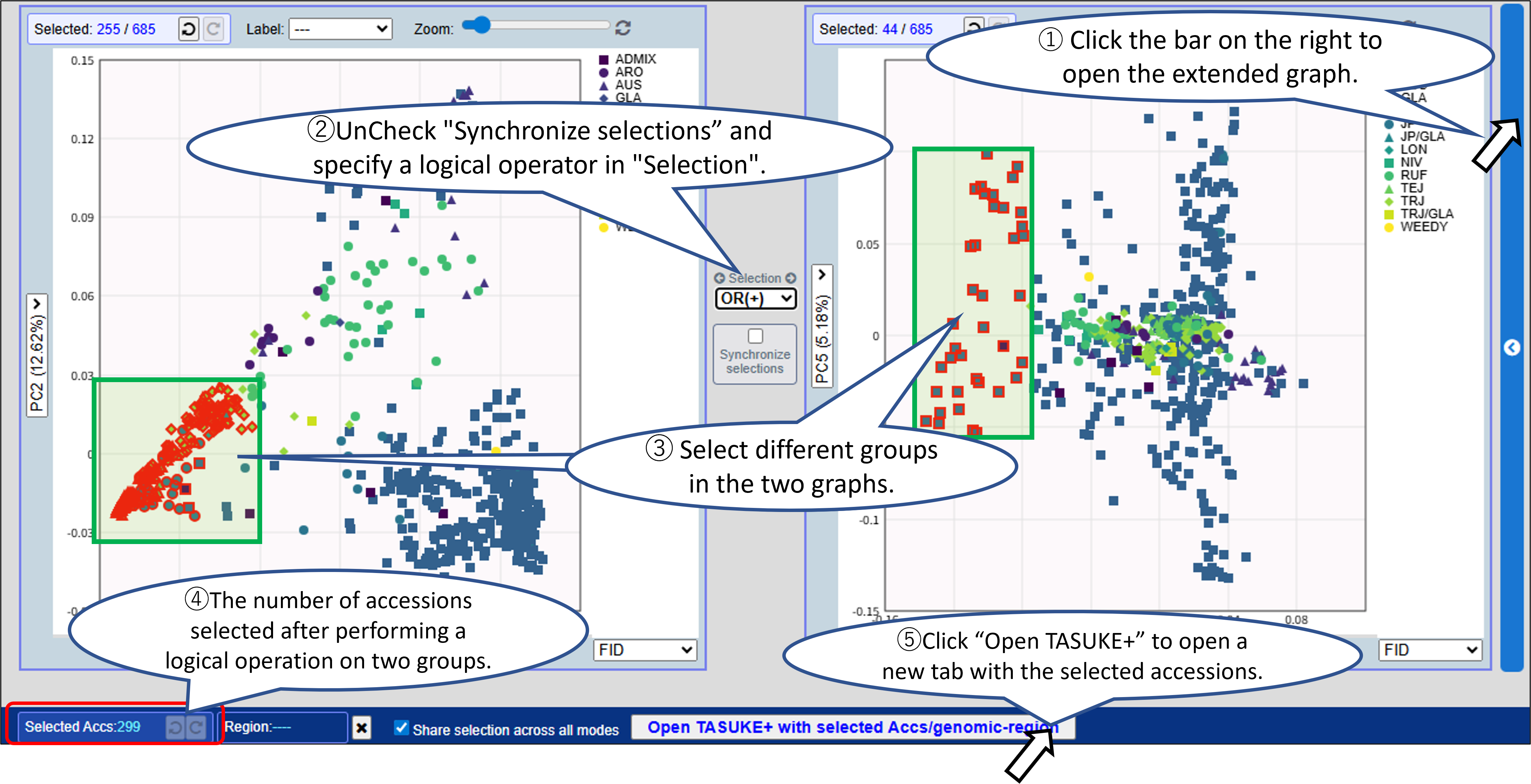 MacroViewer_PCA2