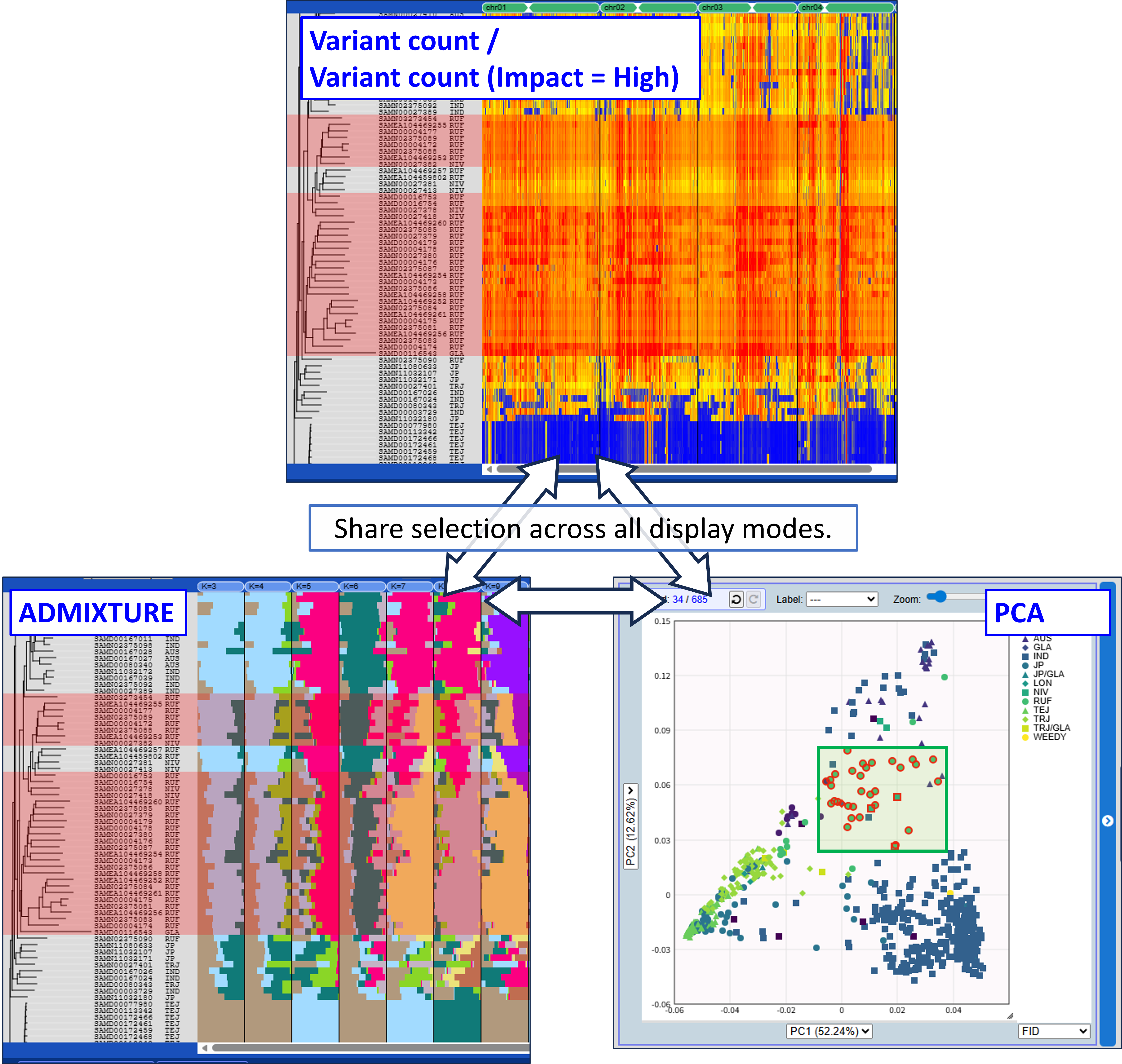 MacroViewer_PCA2