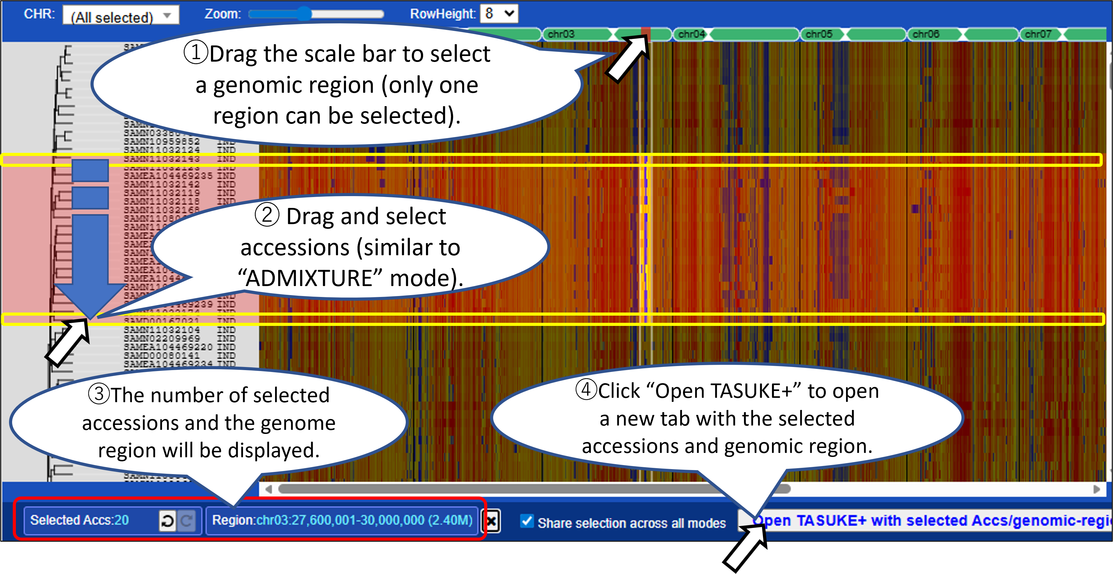 MacroViewer_VariantCount